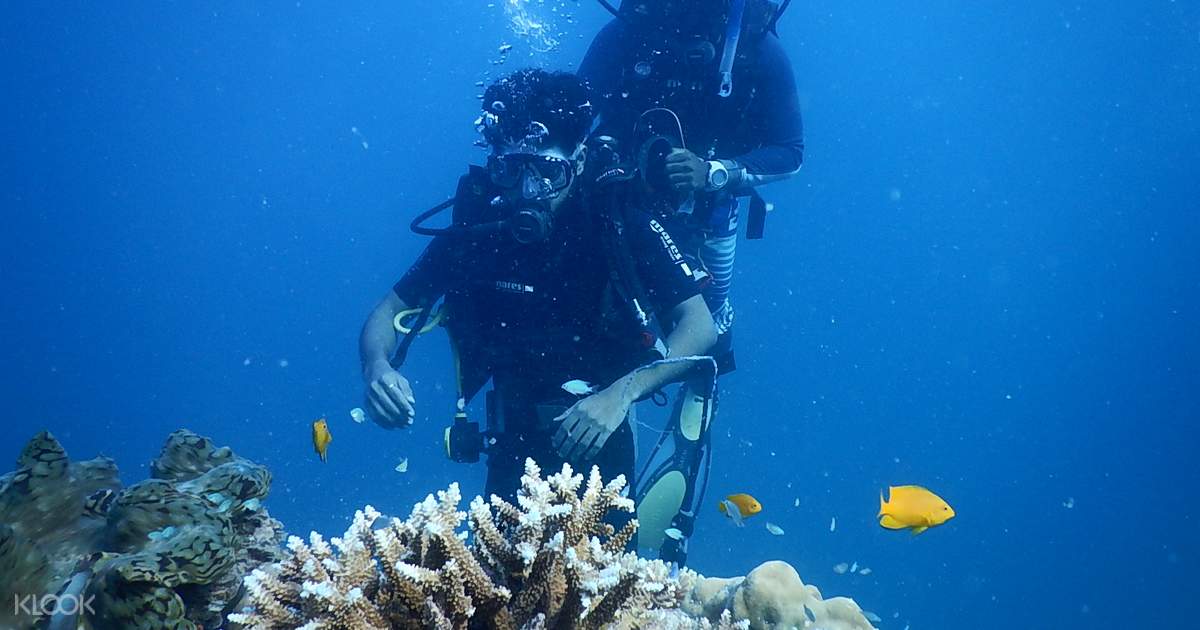 Scuba Diving Adventure - Ngapali, Myanmar